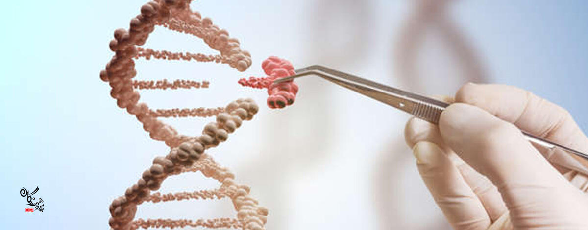 CRISPR   می&zwnj;تواند به ترمیم ژن&zwnj;های جهش&zwnj;یافته کمک کند؛ قابلیتی که این فناوری را به ابزاری امیدوارکننده برای درمان طیف گسترده&zwnj;ای از بیماری&zwnj;ها، از بیماری&zwnj;های مادرزادی گرفته تا انواع سرطان، تبدیل کرده است.