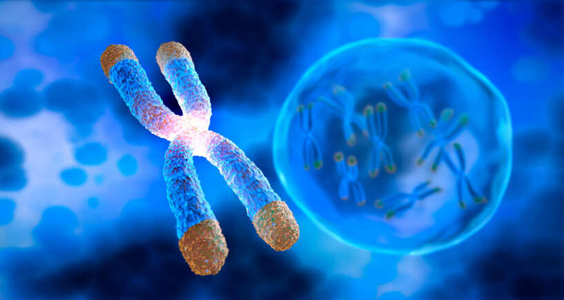 هدف دانشمندان از توسعه این فناوری&zwnj;ها، برنامه&zwnj;ریزی و اصلاح DNA به&zwnj;گونه&zwnj;ای است که بتوان بیماری&zwnj;های مزمن را درمان کرد و در نهایت، روند پیری را به تأخیر انداخت یا حتی بر آن غلبه کرد.
