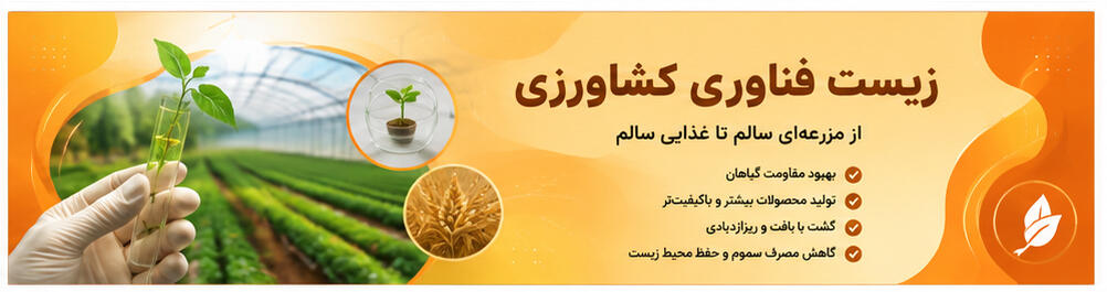 برای نمونه، دانشگاه شهید بهشتی در حوزه زیست فناوری فعالیت آموزشی و پژوهشی گسترده&zwnj;ای دارد و رشته زیست فناوری میکروبی در مقطع کارشناسی ارشد این دانشگاه نیز ایجاد شده است.  دانشگاه تربیت مدرس نیز سابقه فعالیت علمی و انتشار پژوهش&zwnj;های تخصصی در حوزه زیست&zwnj;فناوری دارد.  توجه: فهرست رشته&zwnj;محل&zwnj;های کارشناسی و نوع دوره&zwnj;های روزانه، نوبت دوم یا سایر شیوه&zwnj;های پذیرش ثابت نیست؛ بنابراین برای انتخاب رشته، آخرین دفترچه سازمان سنجش باید ملاک قرار گیرد.  برای داوطلبان کنکور، شناخت دانشگاه&zwnj;های هدف می&zwnj;تواند به برنامه&zwnj;ریزی دقیق&zwnj;تر کمک کند. وقتی دانش&zwnj;آموز بداند برای رسیدن به دانشگاه مورد علاقه خود به چه رتبه و سطح علمی نیاز دارد، می&zwnj;تواند از آزمون&zwnj;های قلم&zwnj;چی و مشاوره مجموعه آموزشی پژوهندگان علم و سلاله هدفمندتر استفاده کند.